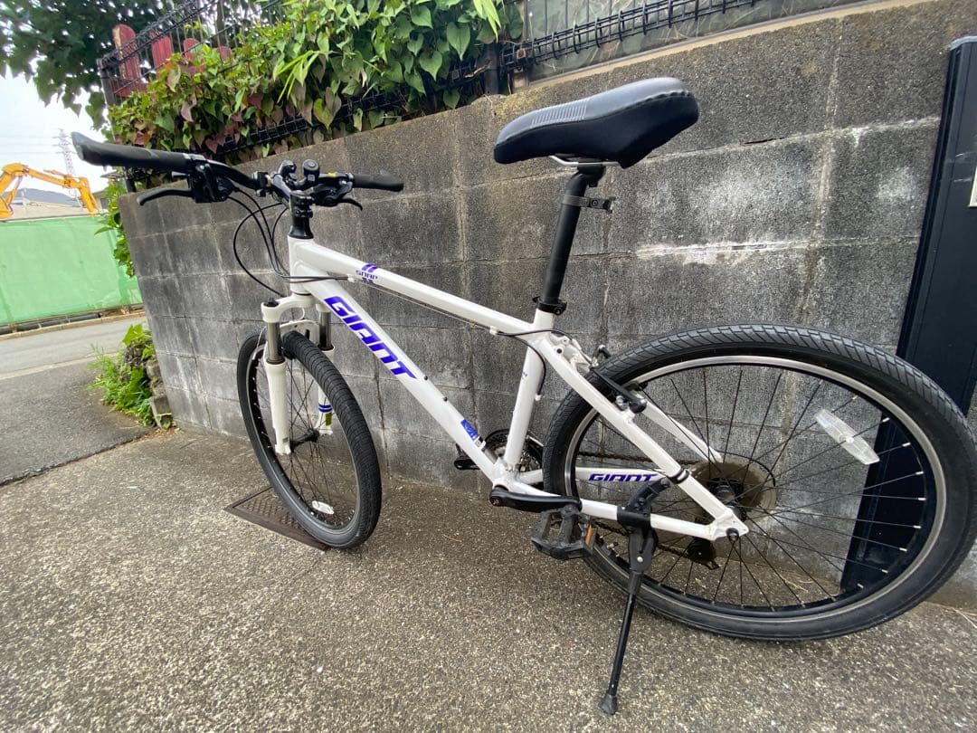 Rojan Rajthala　giant SNAP2022年白マウンテン