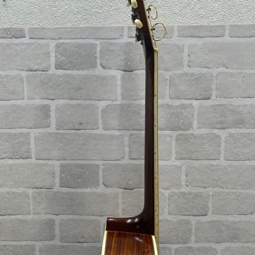 5838【激レア入手困難】MASTER / 0-18 Rosewood