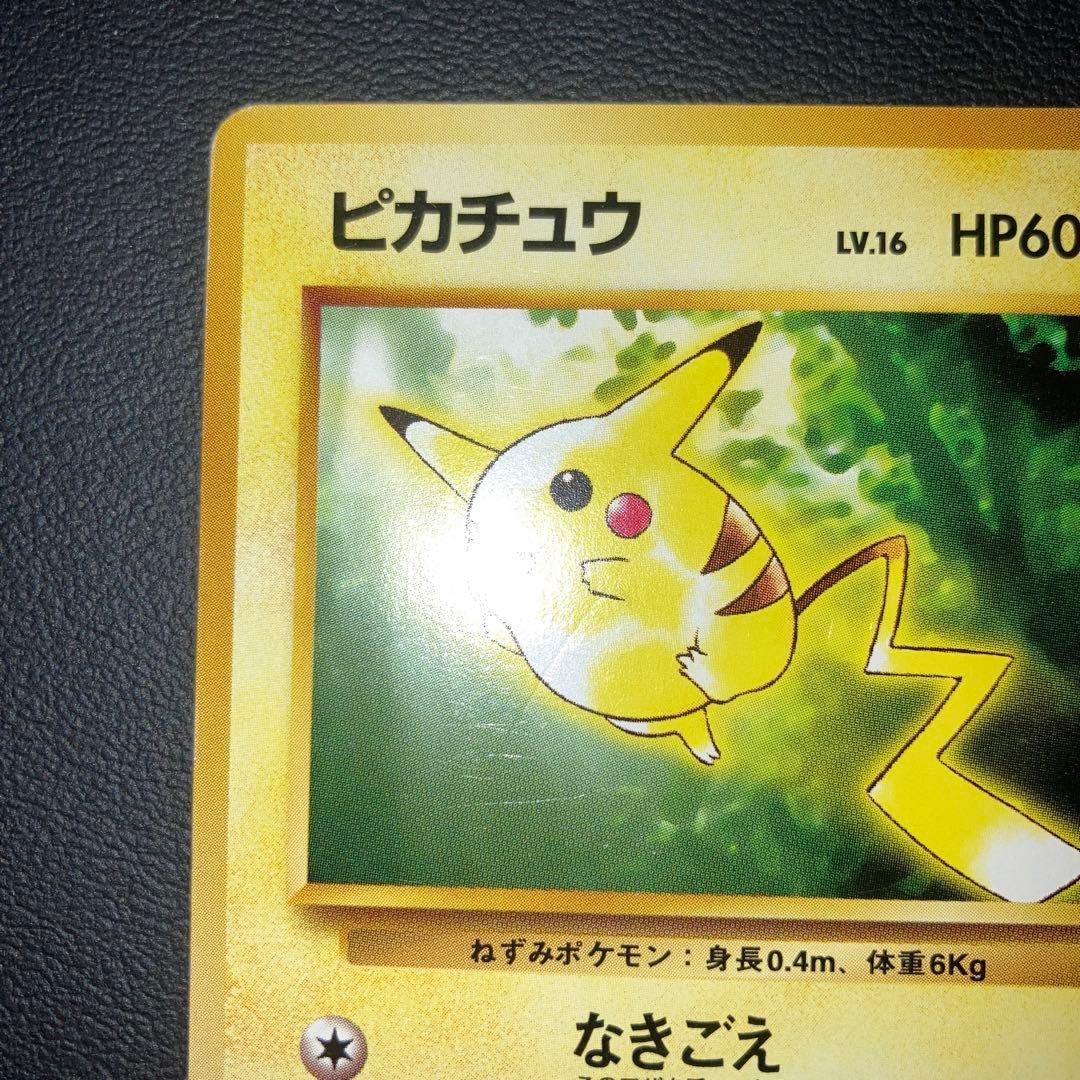 美品　旧裏　ピカチュウ イントロパック　40 フシギダネ