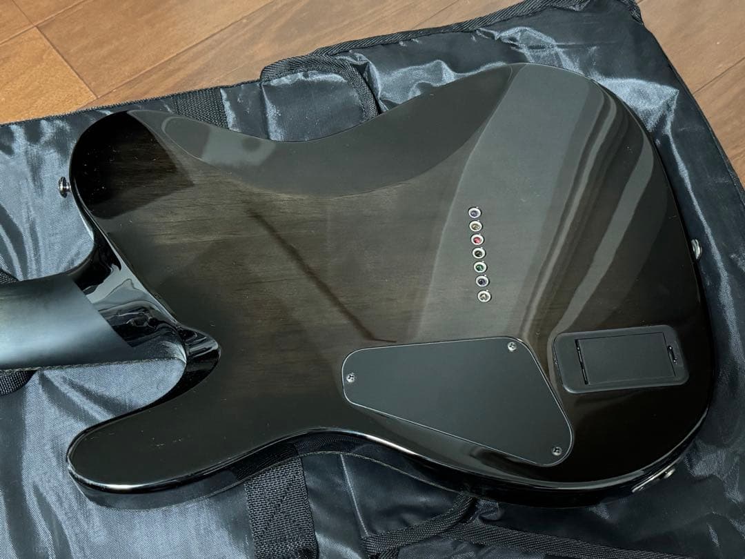 ギター SCHECTER HELLRAISER HYBRID PT-7