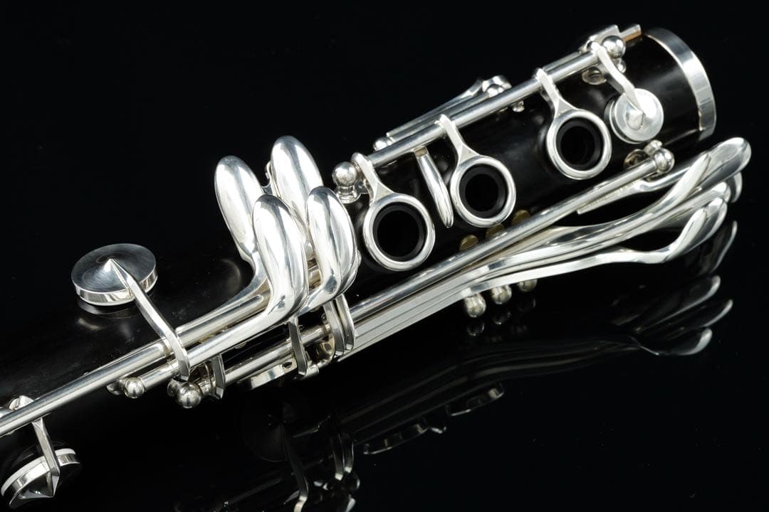 【美品 メンテナンス済】　SELMER Signature B♭ クラリネット