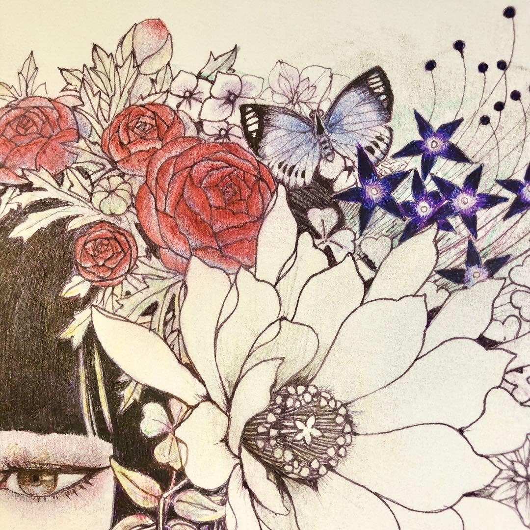 ハナグモ　Hanagumo