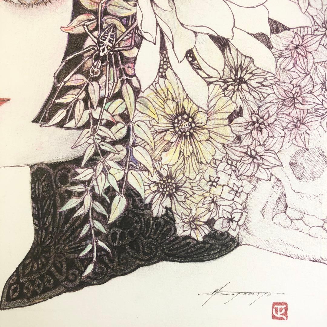 ハナグモ　Hanagumo