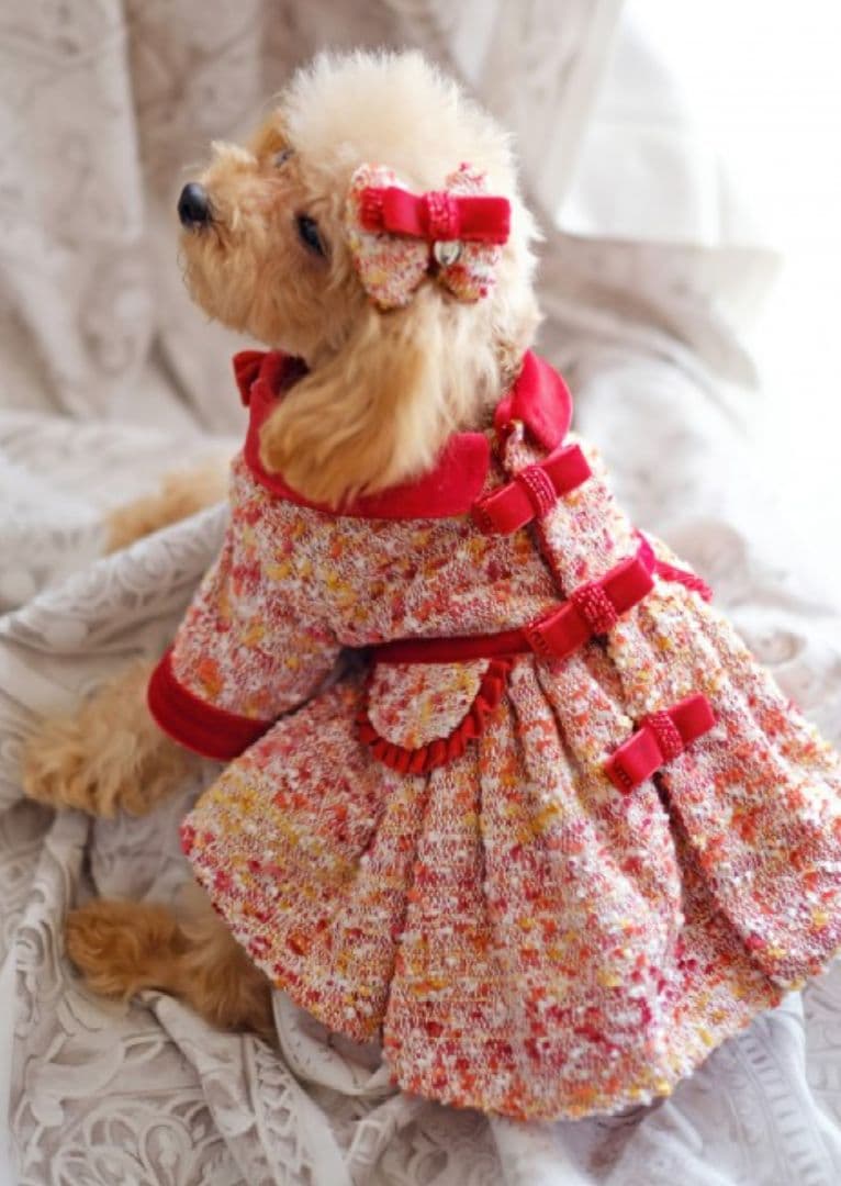 ペットアポルテ　ツイードワンピース 検/itdogs