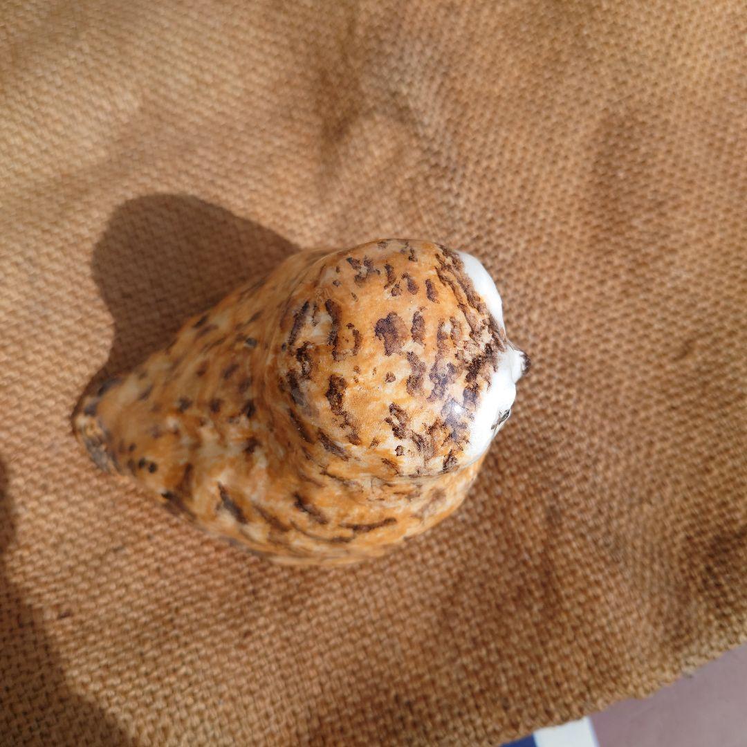 WINSTANLEY OWL　ふくろうのオブジェ(黄色)