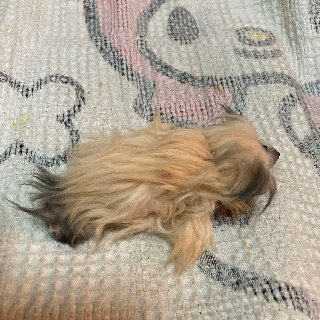 セキグチ　L Dream コレクション　DOGシリーズ　4コセット　中古品