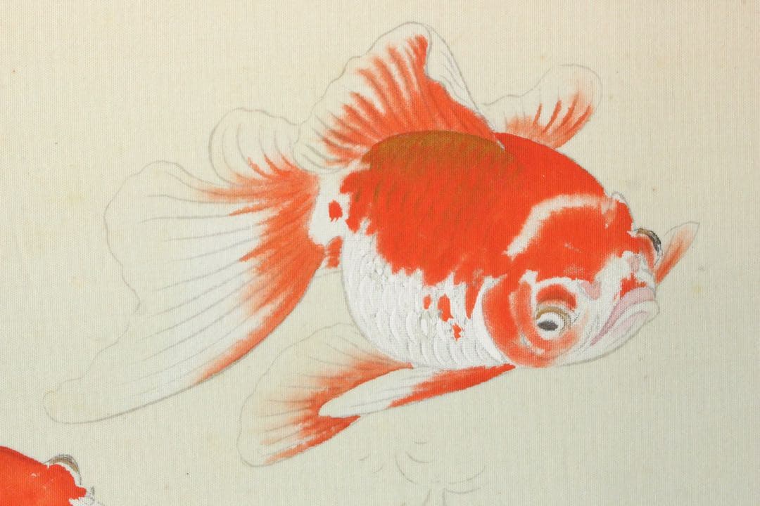 No4943 額装　山本龍洞　遊金魚図　絹本着色　真作　日本画　古美術　送料無料