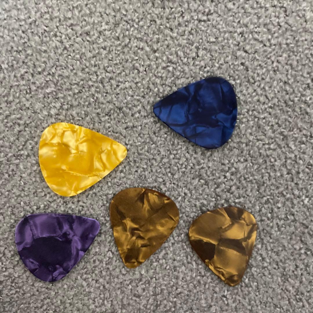 Paul Reed Smith (ポールリードスミス) エレキギター