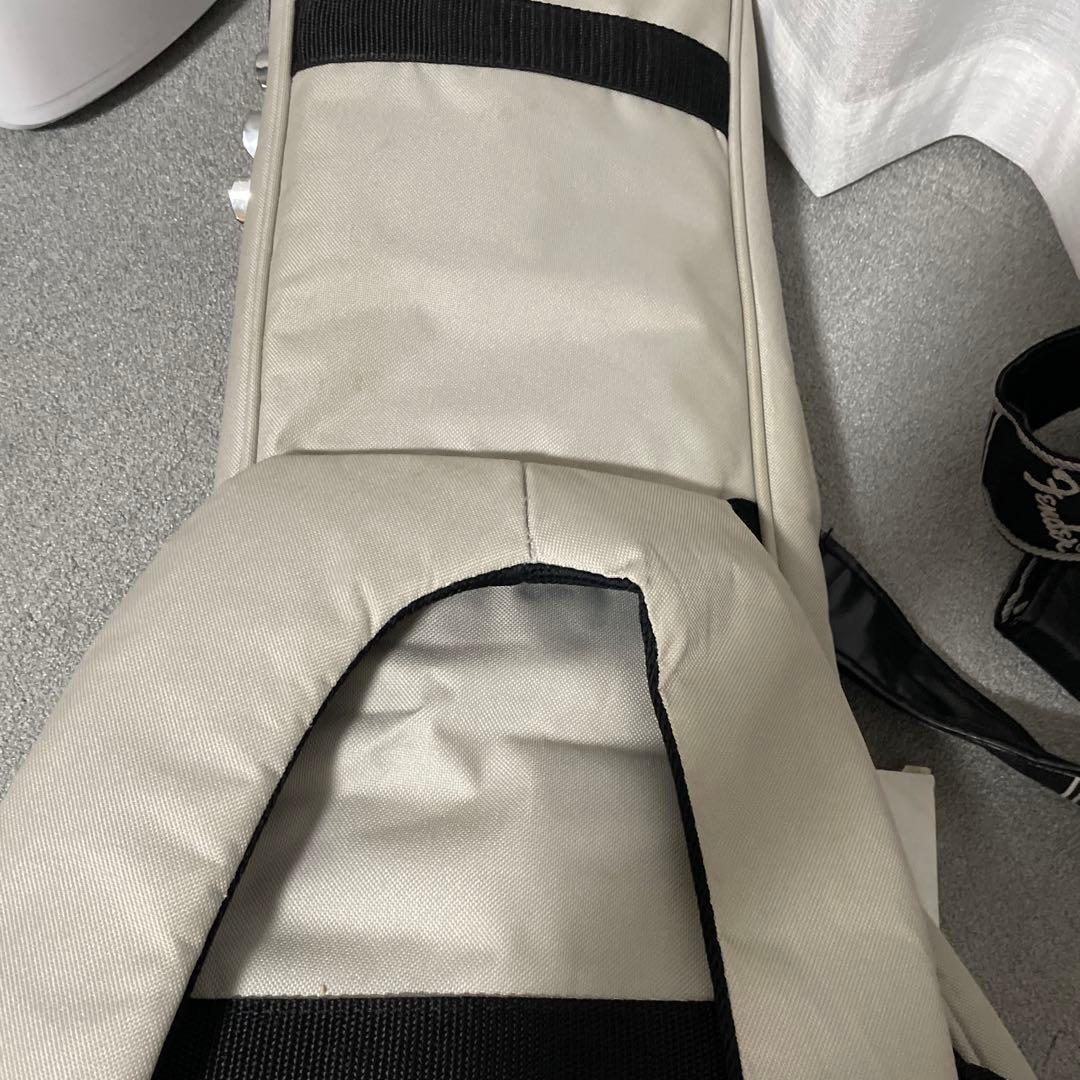 Paul Reed Smith (ポールリードスミス) エレキギター