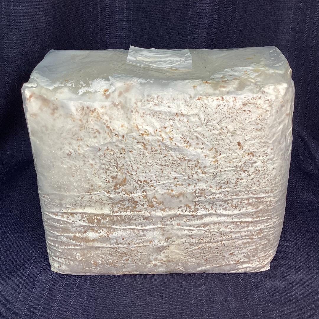 【6個セット】菌糸ブロック LEVIN-G3500 EXCEED CRAFT