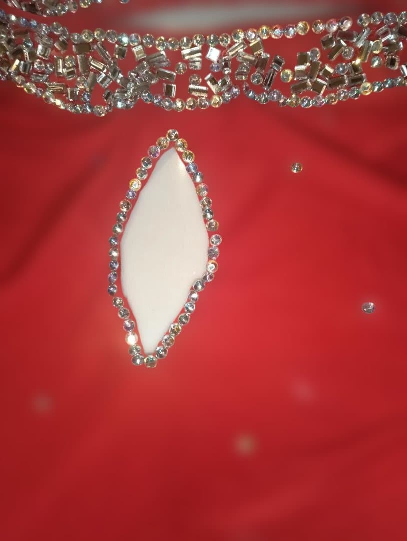 【新品Sale】エジプト製サイーディ&バラディベリーダンス衣装セット赤