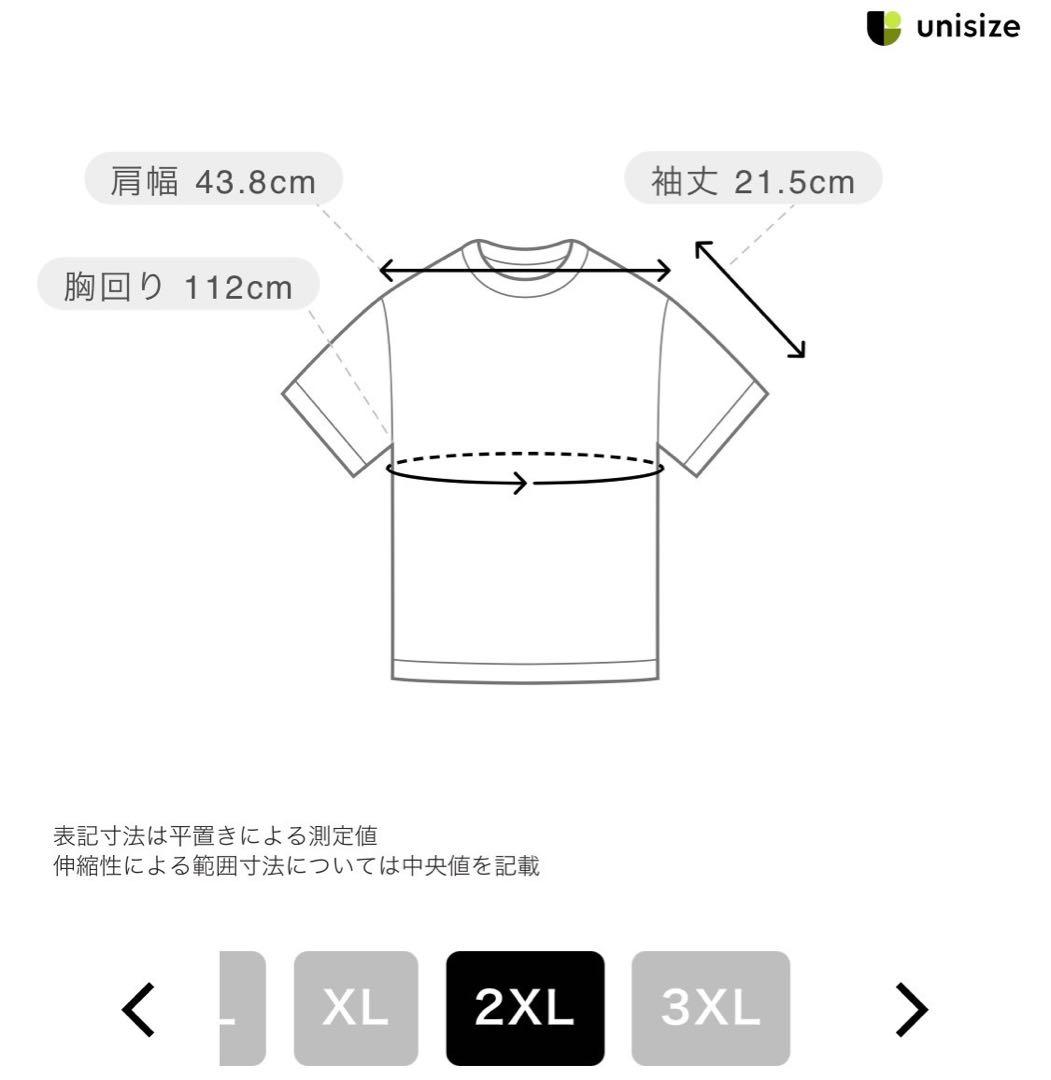 新品★ミズノ2025国スポ限定ポロシャツ限定デザイン国民スポーツ大会国体2XL