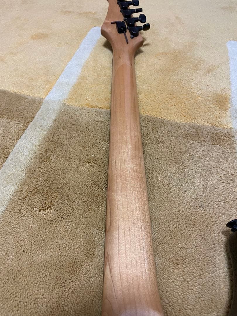 GAD エレキギター AriaPro ii