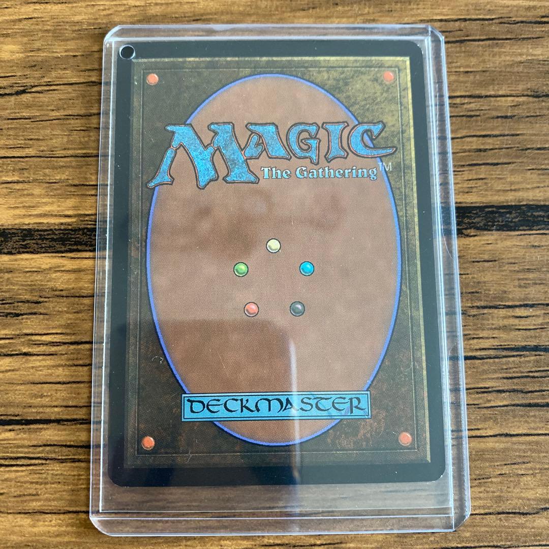 mtg 禁忌の果樹園　日本語版　foil