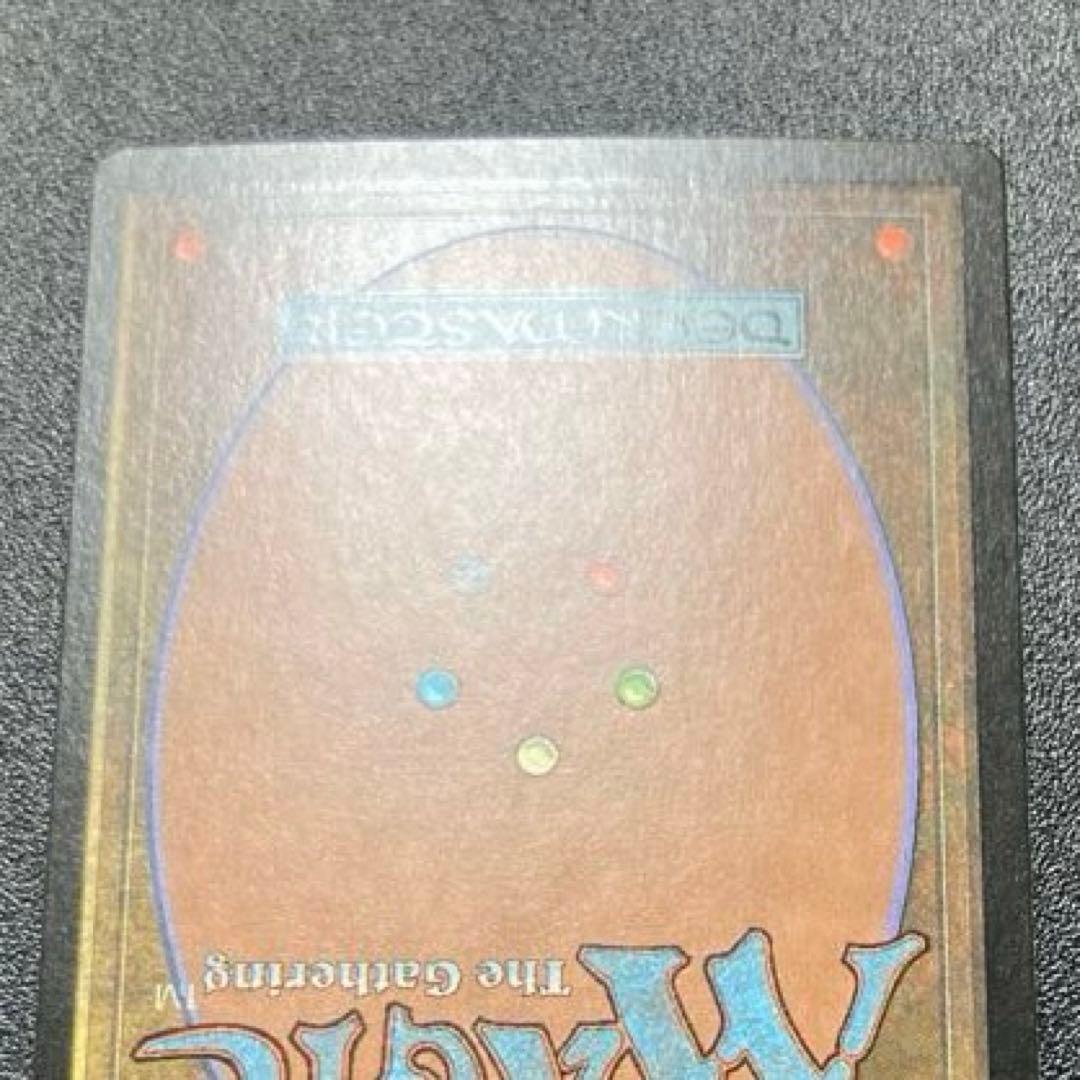 MTG タールルームの勇士、ターンガース 絵違い foil