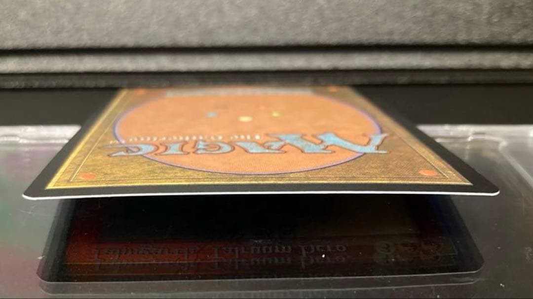 MTG タールルームの勇士、ターンガース 絵違い foil