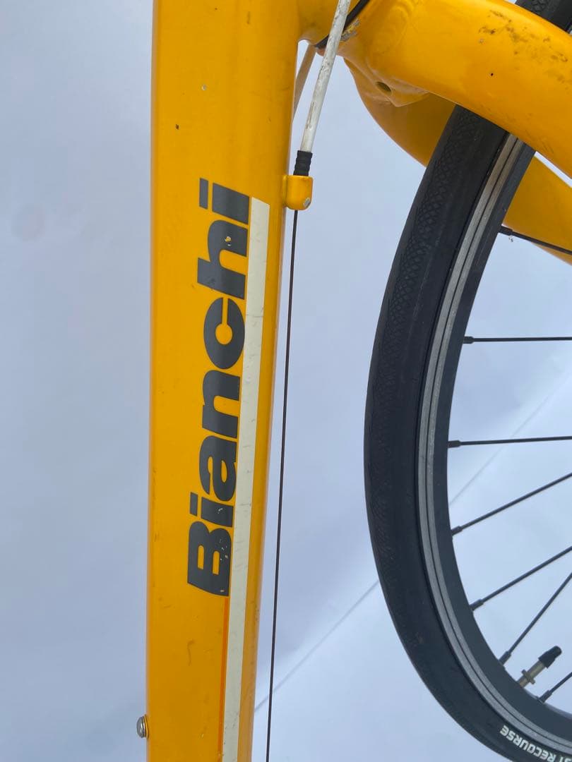 bianchi c-sport 1ビアンキ　romaローマ　CAMALEONTE