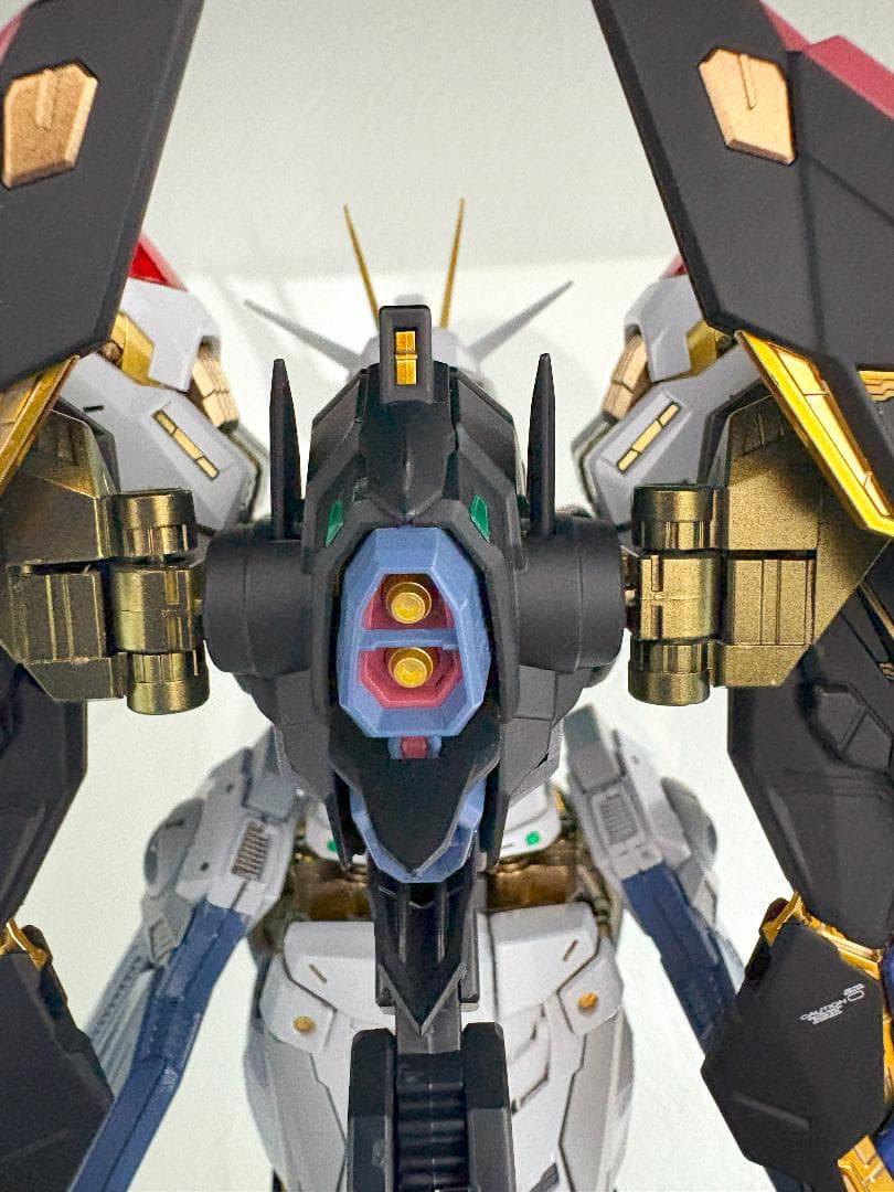 【全塗装】MGEX 1/100 ストライクフリーダム 全塗装完成品　外箱あり