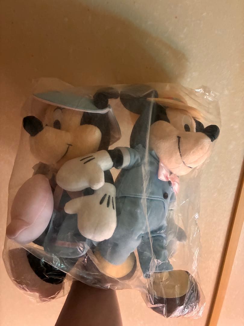 レア　ディズニーの2022年春のくじのラストワンショー ミッキー、ミニーセット