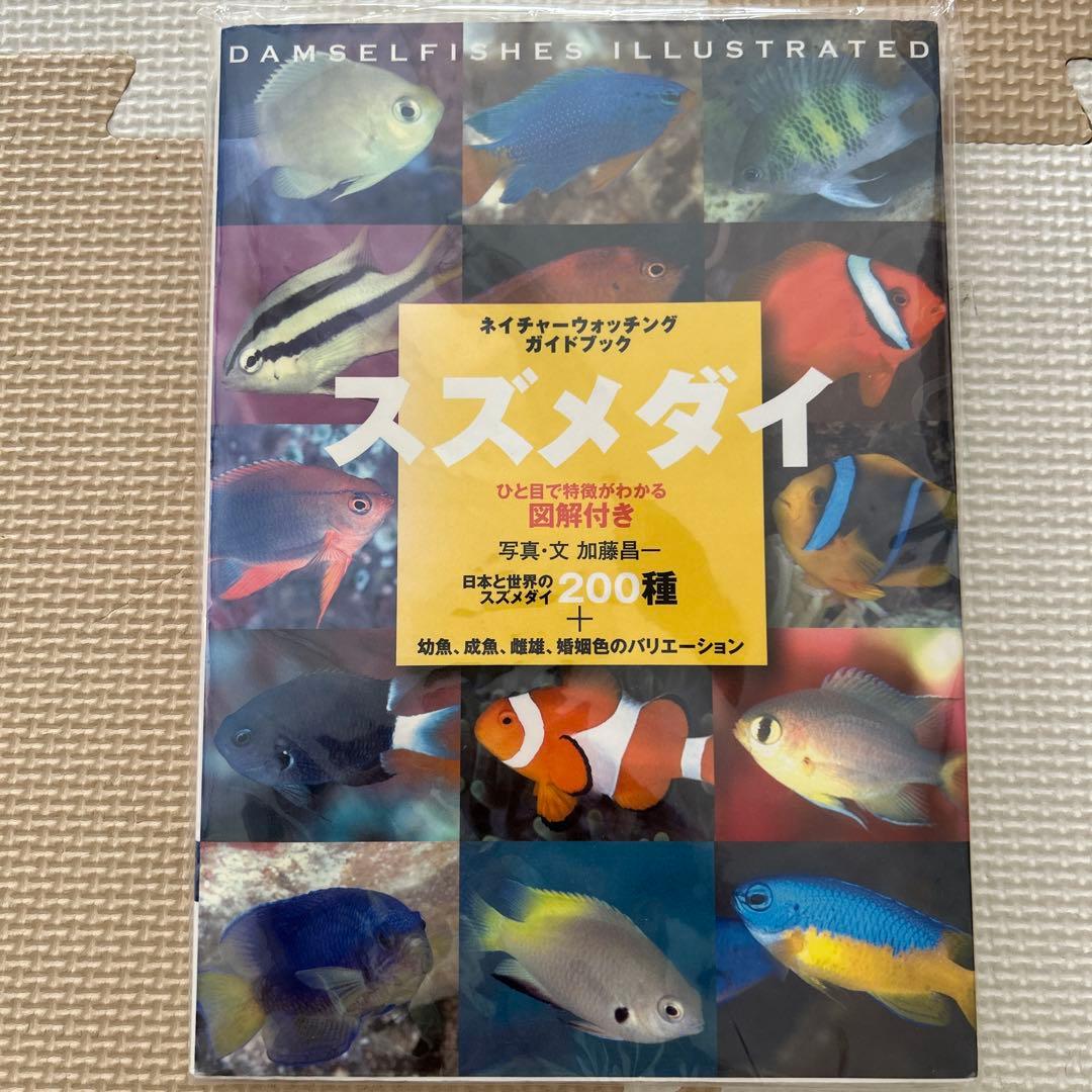 ネイチャーウォッチングガイドブック　スズメダイ