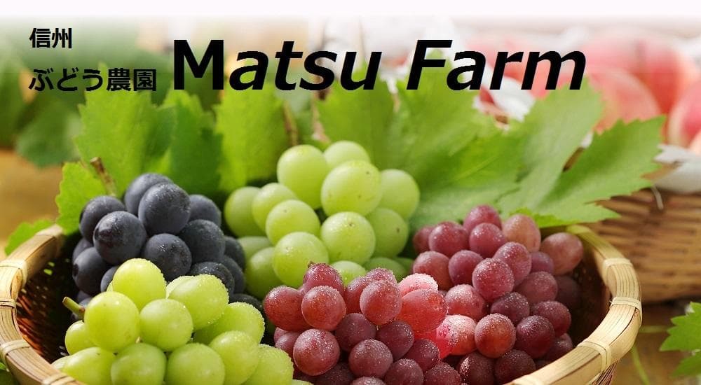 みい様向け商品　　クール便送料込み　　15,500円