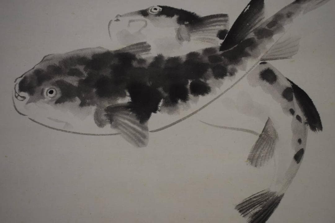 真作/峰/とらふぐ図/トラフグ図/布袋屋掛軸HI-398