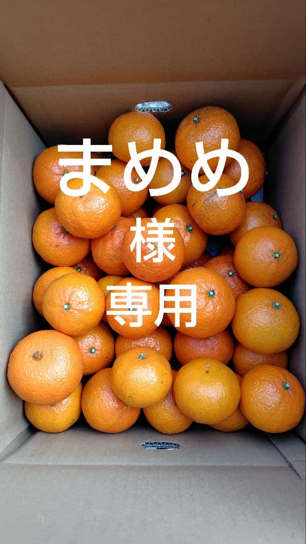 津之輝20㎏(家庭用)まめめ