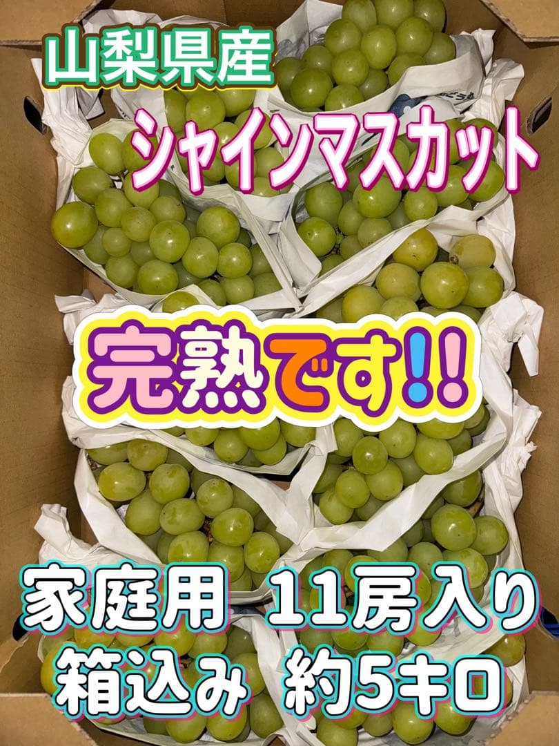 山梨県産ぶどう⭐️シャインマスカット⭐️家庭用完熟⭐️11房入り箱込み約5キロ