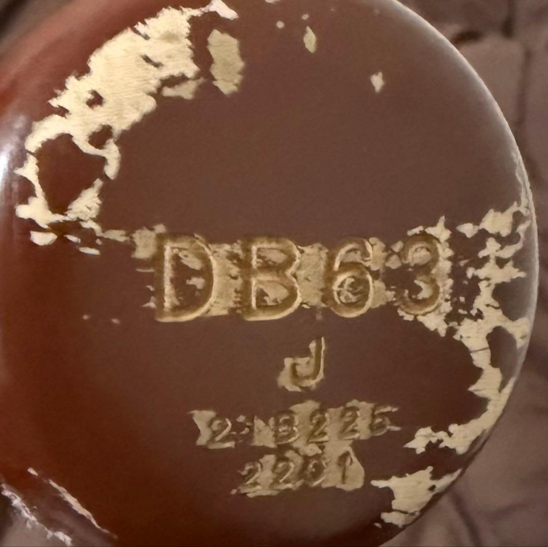 横浜DeNAベイスターズ 関根大気 選手 実使用 バット 支給品 野球 NPB