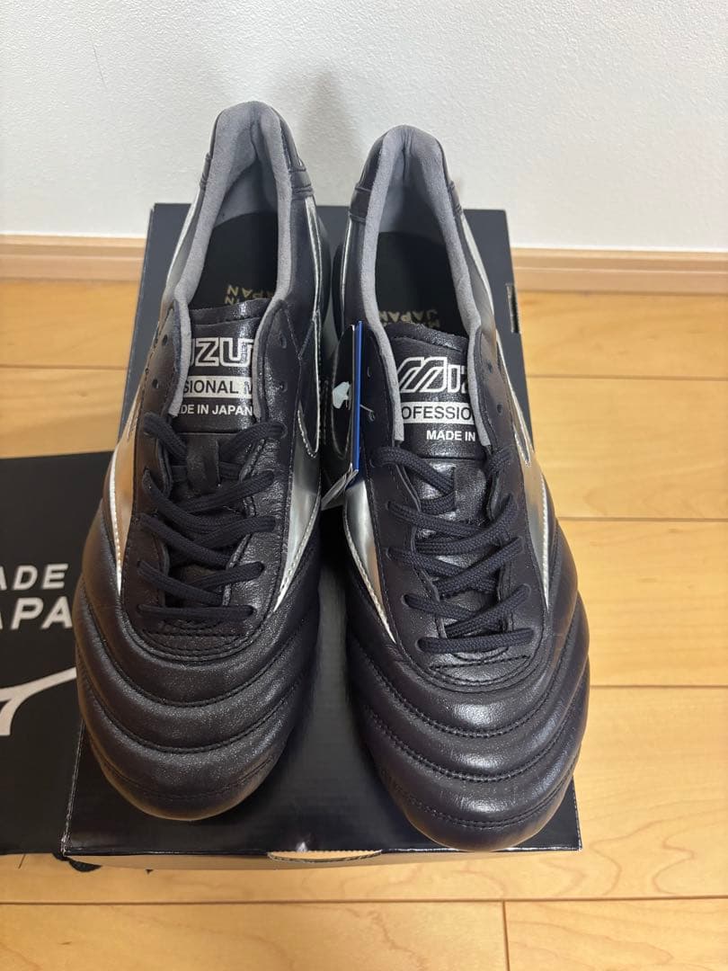 モレリア DNA japan