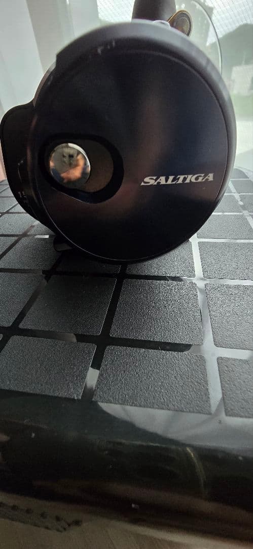 ソルティガ15　ダイワ