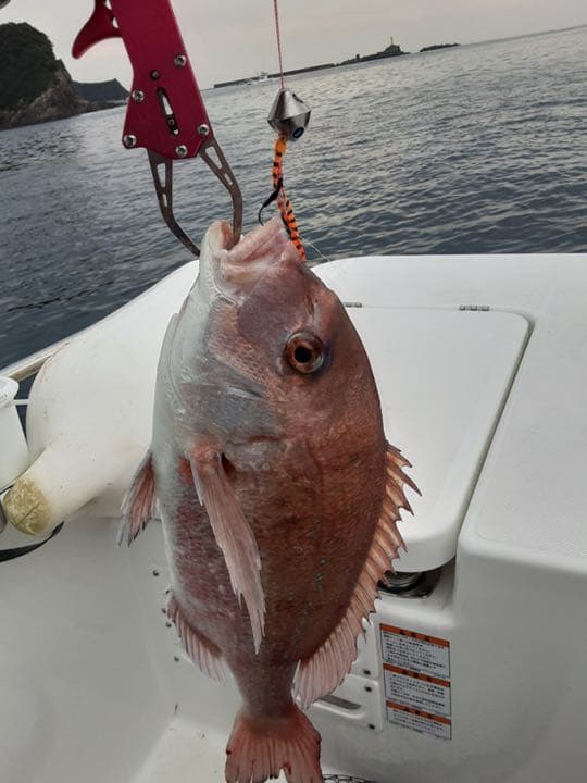 タイラバヘッド タングステン