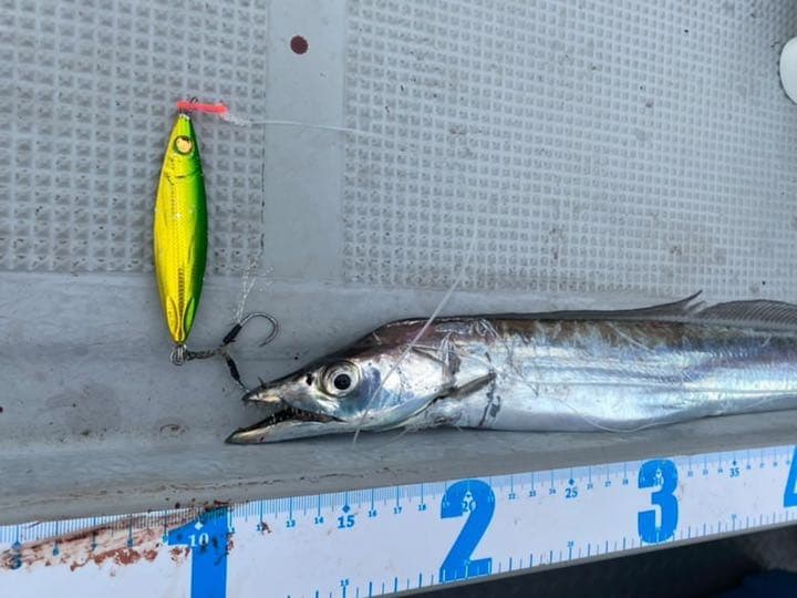 タイラバヘッド タングステン