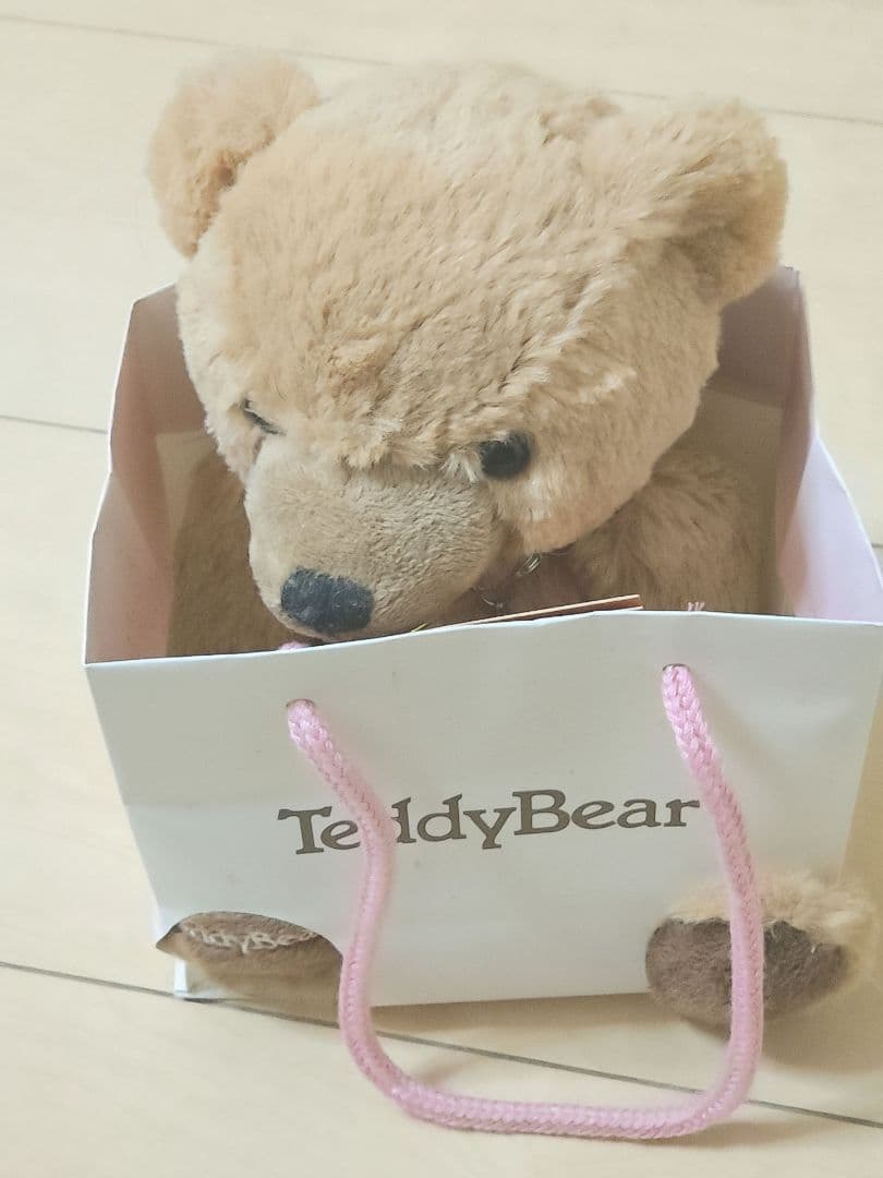 テディベア　ぼく　Mサイズ　ネックレス付