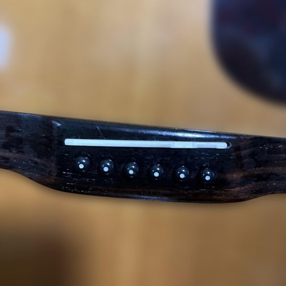 Morris Special W-35 ハードケース　ストラップ　ゴム式カポ付き