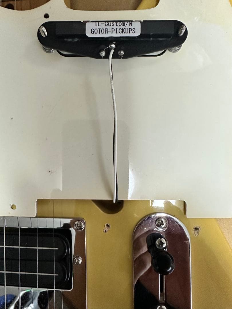 【怒犬-Dokken-】バッカス ユニバース テレキャスBTE-3改