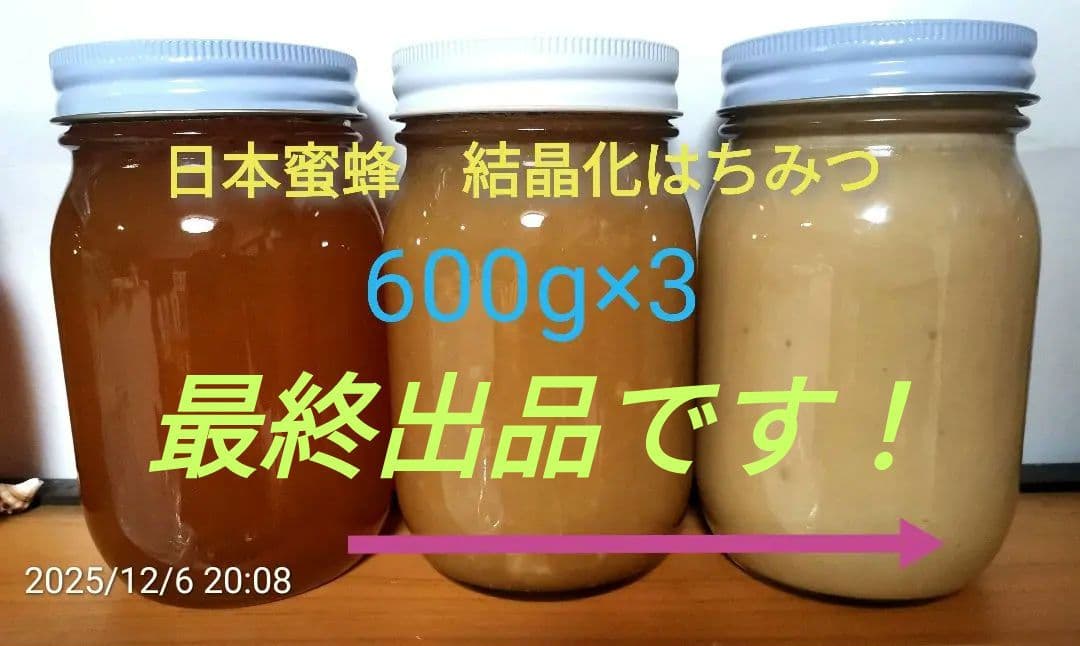 日本蜜蜂　結晶化はちみつ　非加熱　京都　京北産　　600g×3