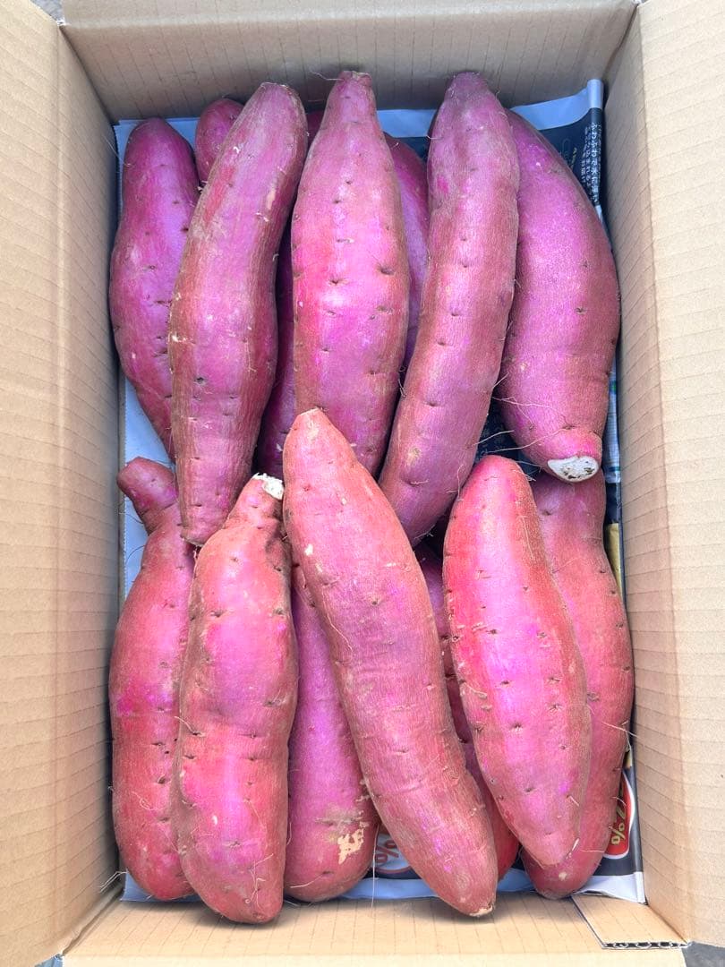 専用シルクスイート　さつまいも　訳あり Lサイズ　20kg