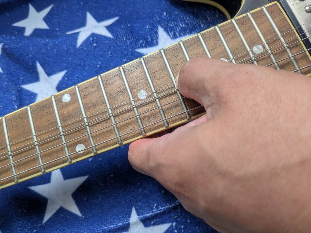 フェルナンデス／バーニー　RSA-60 セミアコ