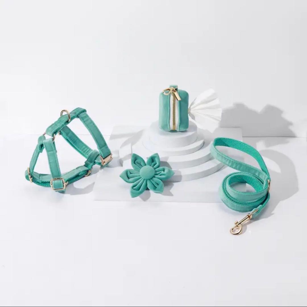 オーダー 名前 ネイム 黒 ハーネス 首輪 リード セット ブラック