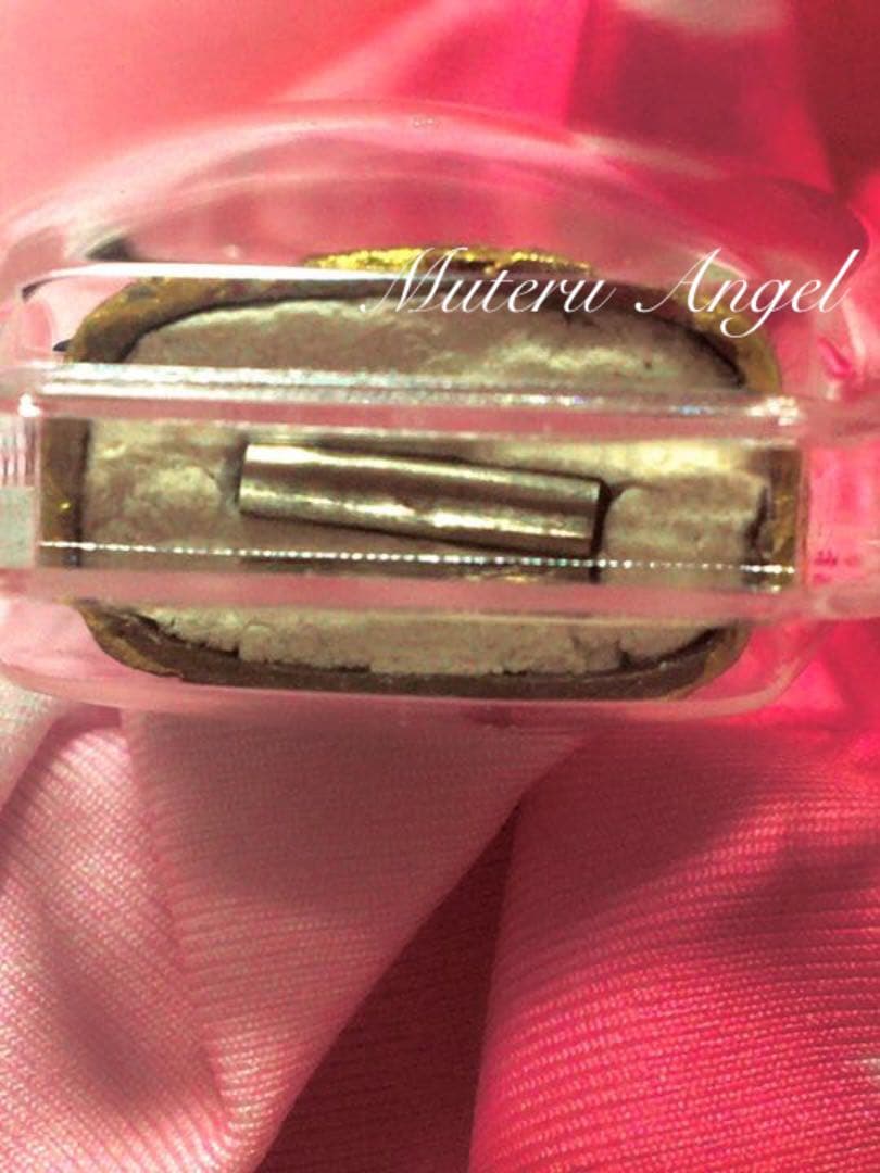 マーセブナーン(茶色馬)プラクルアン☆