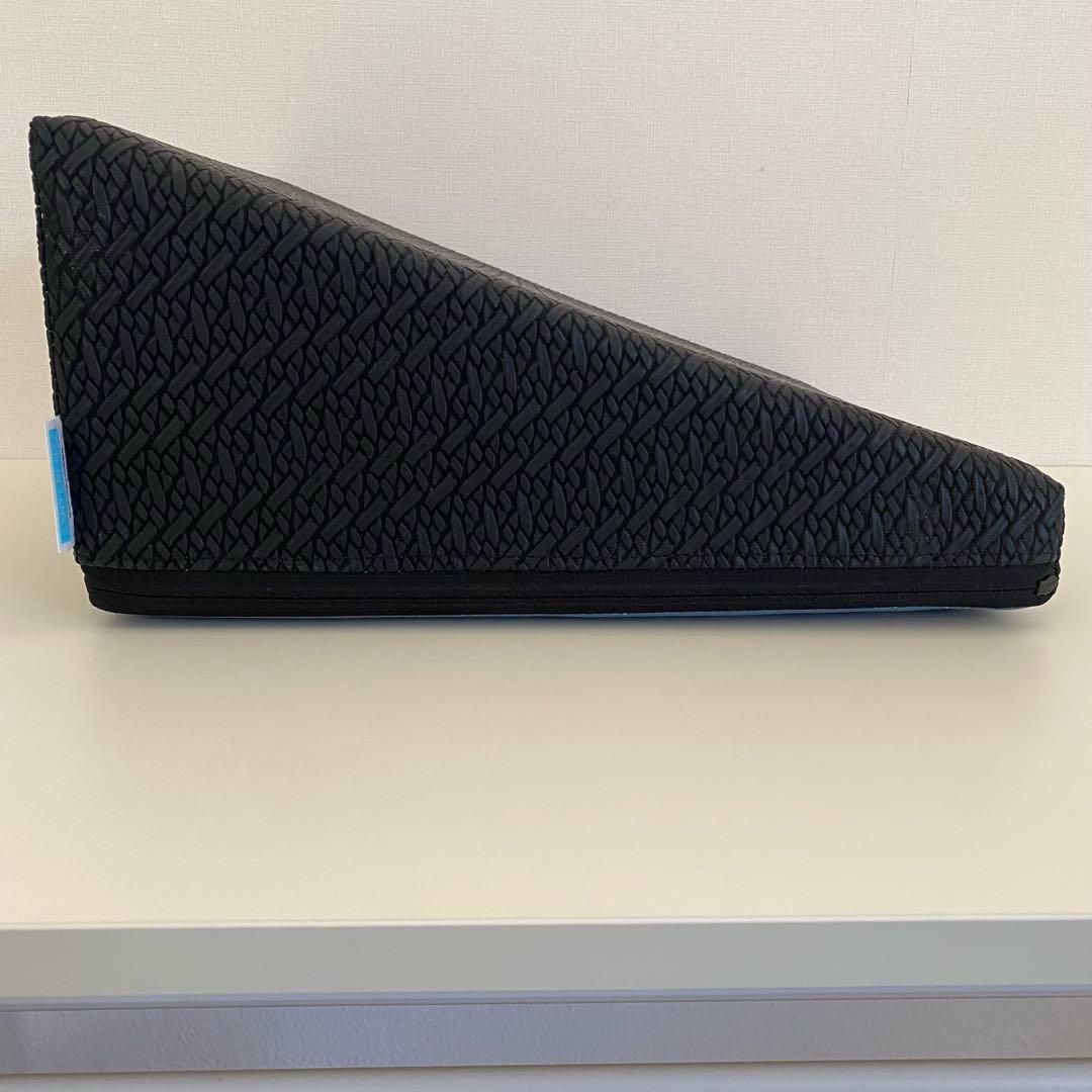 SANTEPLUS サンテプラス フレックスクッション ストレッチ エクササイズ