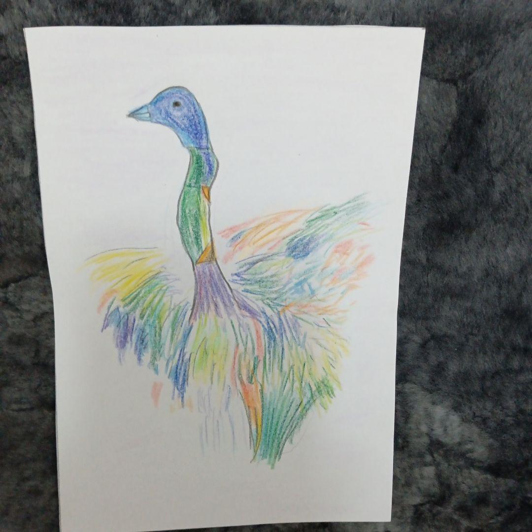 ドアラさん元気？　不死鳥