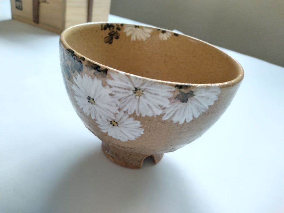 藤谷芳哉　白菊画 茶碗　水無月窯　抹茶碗　茶道具　共箱 共布 栞付 花紋様