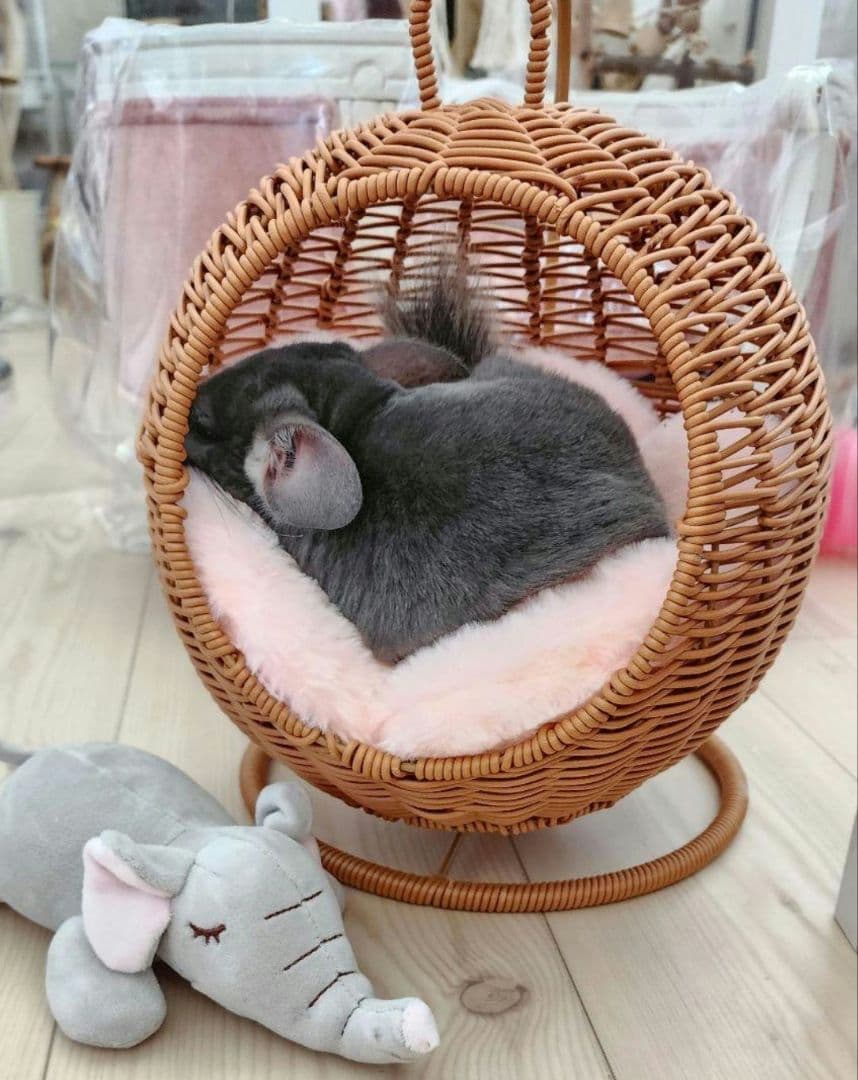 新品② チンチラ ハンキング ベッド ハウス モモンガ 小動物 子犬 ハンモッグ