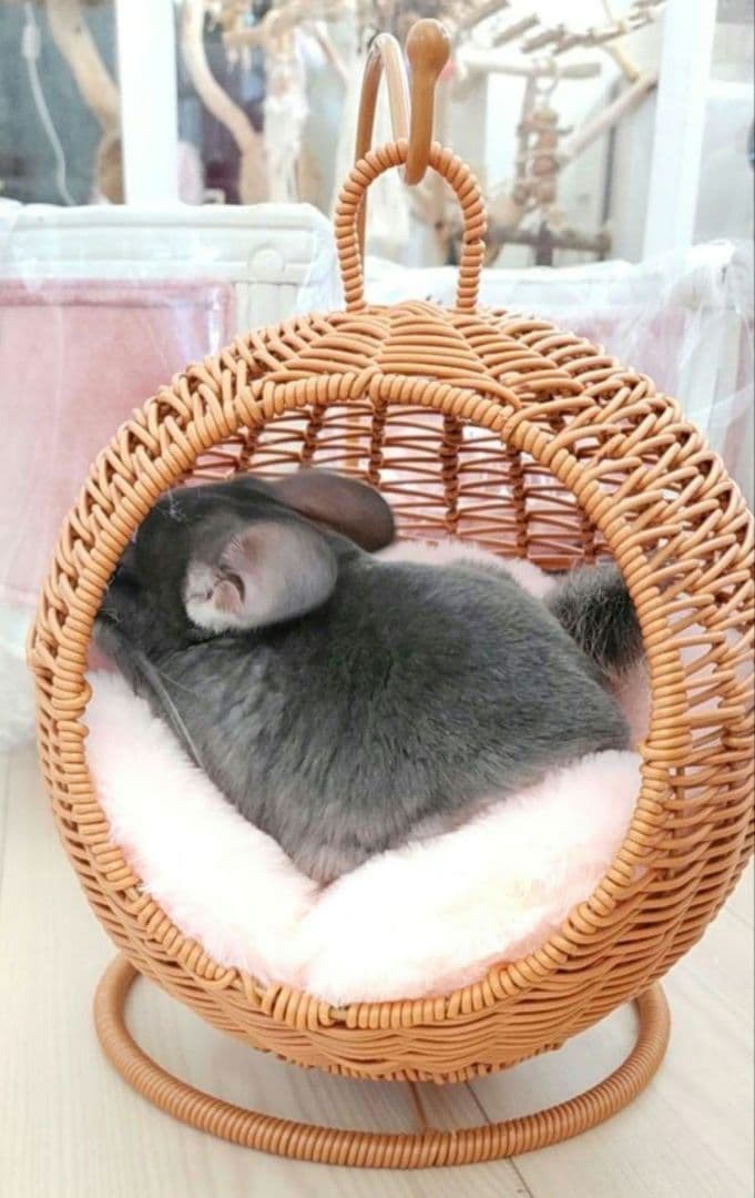 新品② チンチラ ハンキング ベッド ハウス モモンガ 小動物 子犬 ハンモッグ