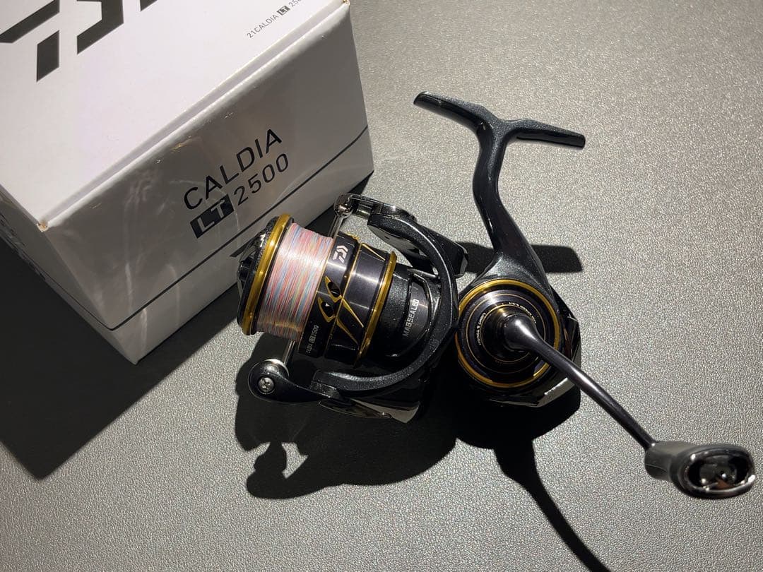 ダイワ 21カルディアLT2500 pe0.8付
