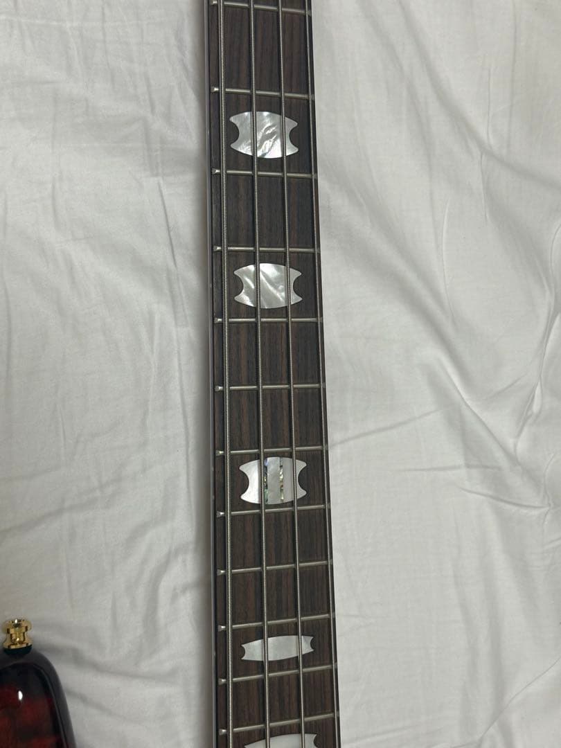 ベース Spector EURO4 LX RAS LAYER