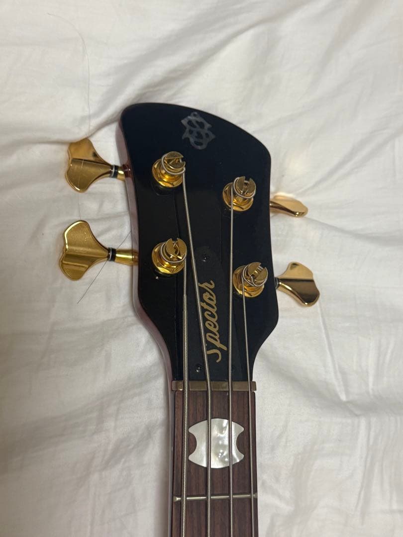 ベース Spector EURO4 LX RAS LAYER