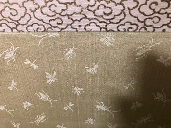 鑑定団　ジャンク扱い　掛軸　山麓竹堂　山房竹堂作? あるいは竹堂作　表装　虫の図